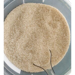 Ρύζι Νυχάκι Χύμα