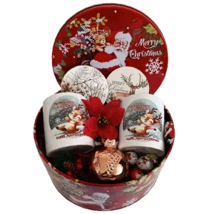 Χριστουγεννιάτικη σύνθεση "ευχές για τον παππού & την γιαγιά"