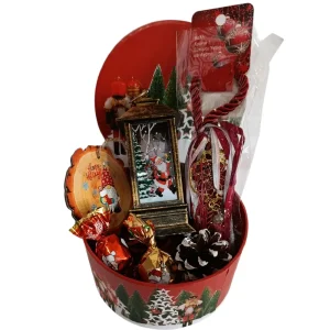 Χριστουγεννιάτικη σύνθεση "Holly Jolly"