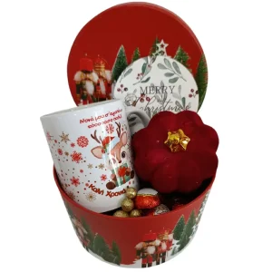 Χριστουγεννιάτικη σύνθεση "Nonas gift"